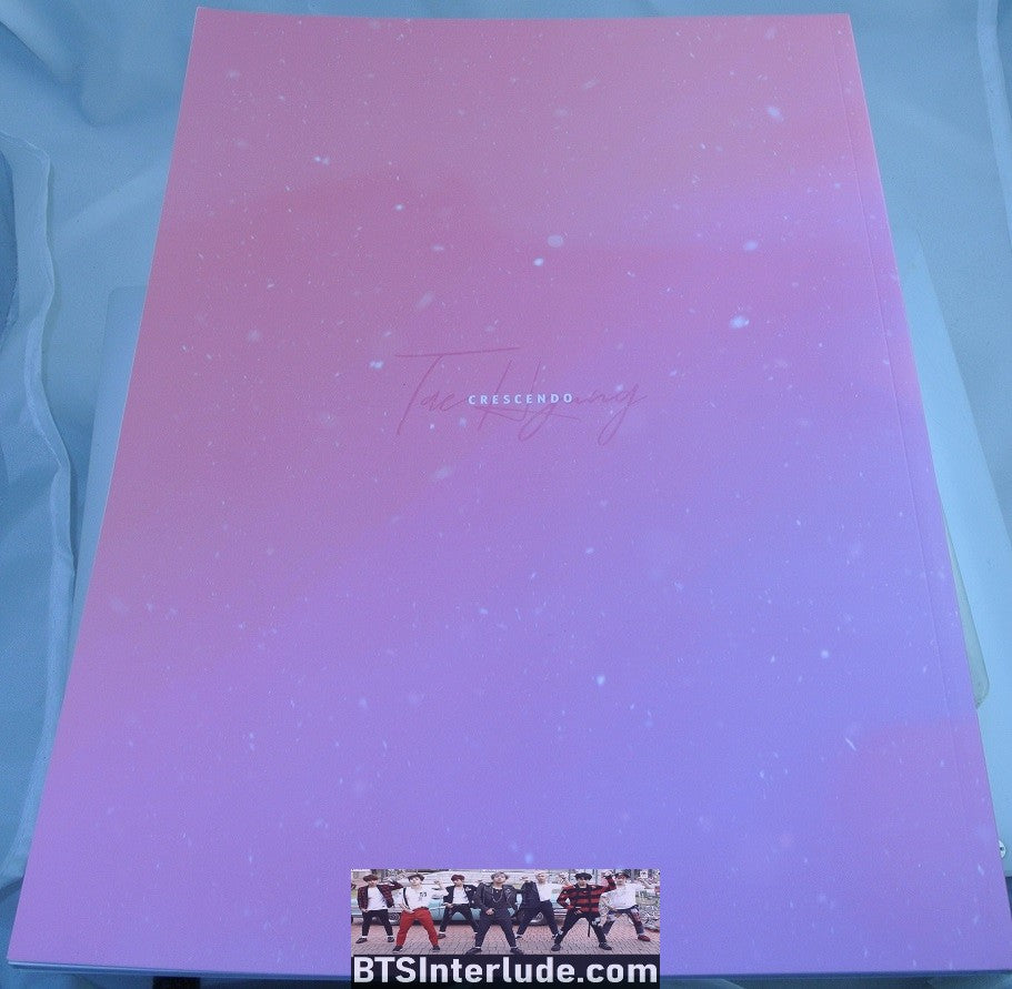 BTS BOOK FANSITE V KIM TAEHYUNG 김태형 IN THE SNOW PHOTOBOOKS CRESCENDO FANSITE PHOTO BOOK BEAUTIFUL FANSIGN CONCERTS