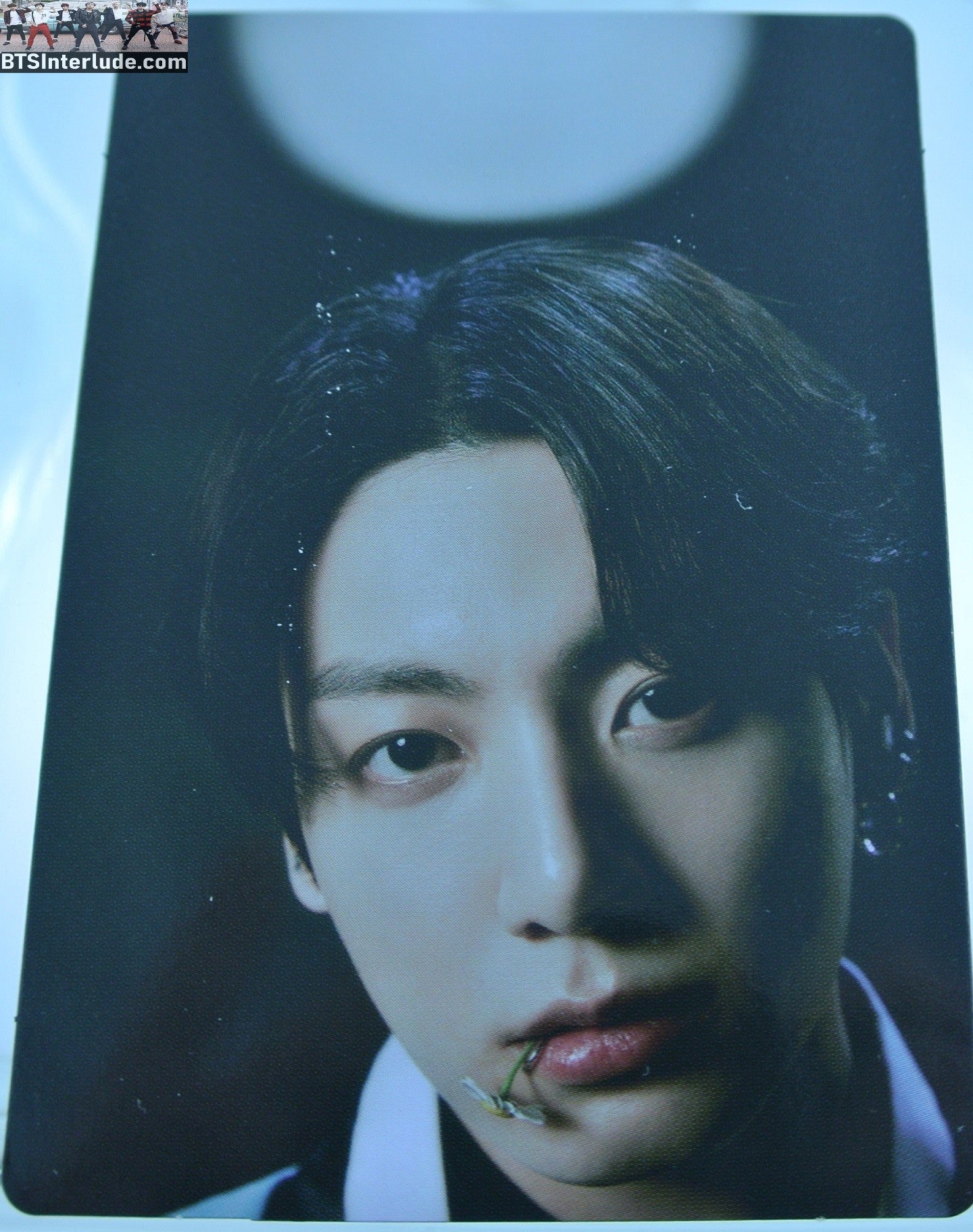 BTS PHOTOCARD OFFICIAL DALMAJUNG 2022 JEON JUNGKOOK 전정국 #6 OF 6 PC PHOTO CARD FLAKES IN PHOTOCARD OFFICIAL MERCHANDISE
