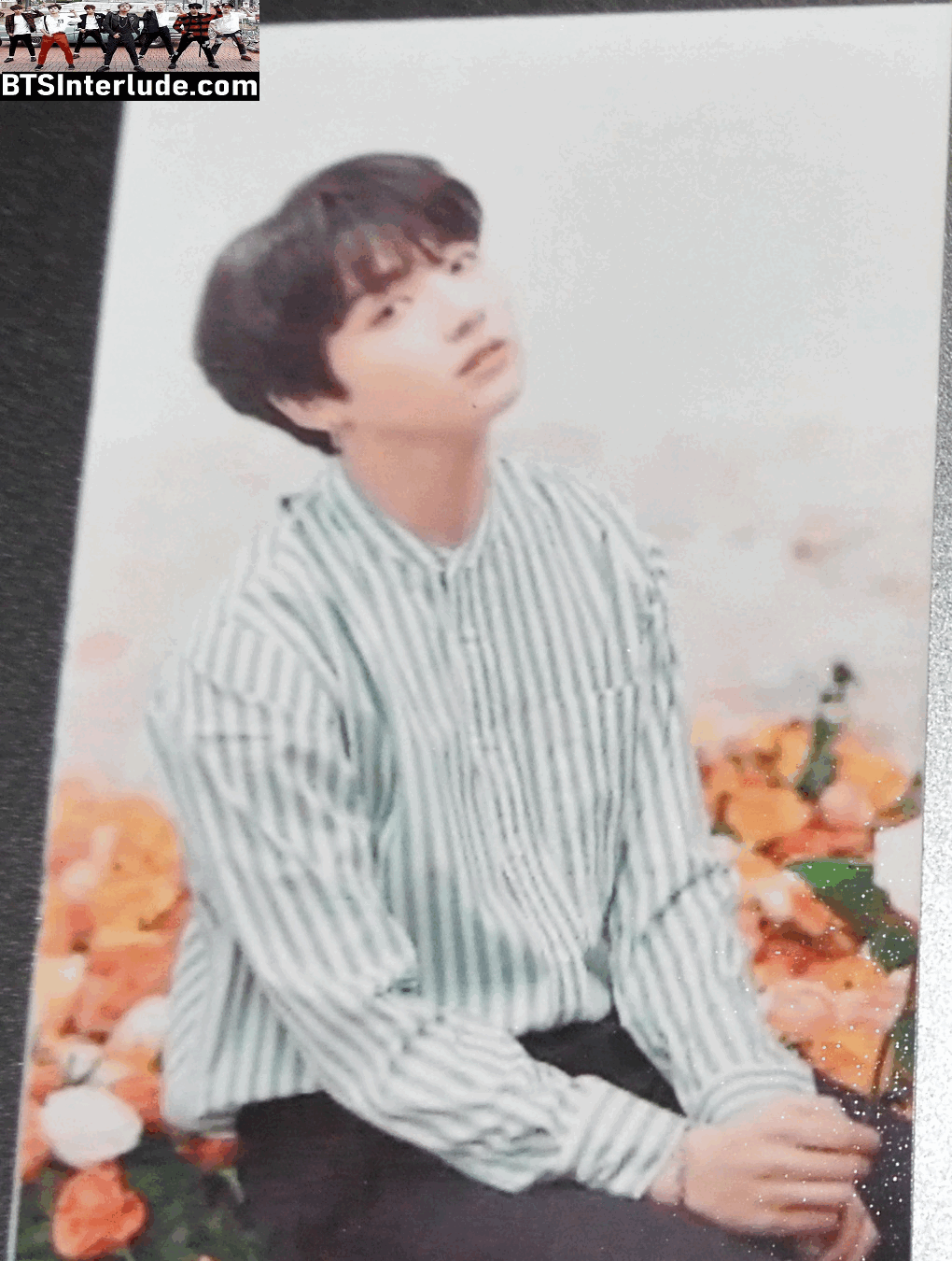 BTS PHOTOCARD FANSITE JEON JUNGKOOK 전정국 LOVE YOURSELF WORLD TOUR JAPAN STRIPED SHIRT FLOWERS PHOTO CARD PC