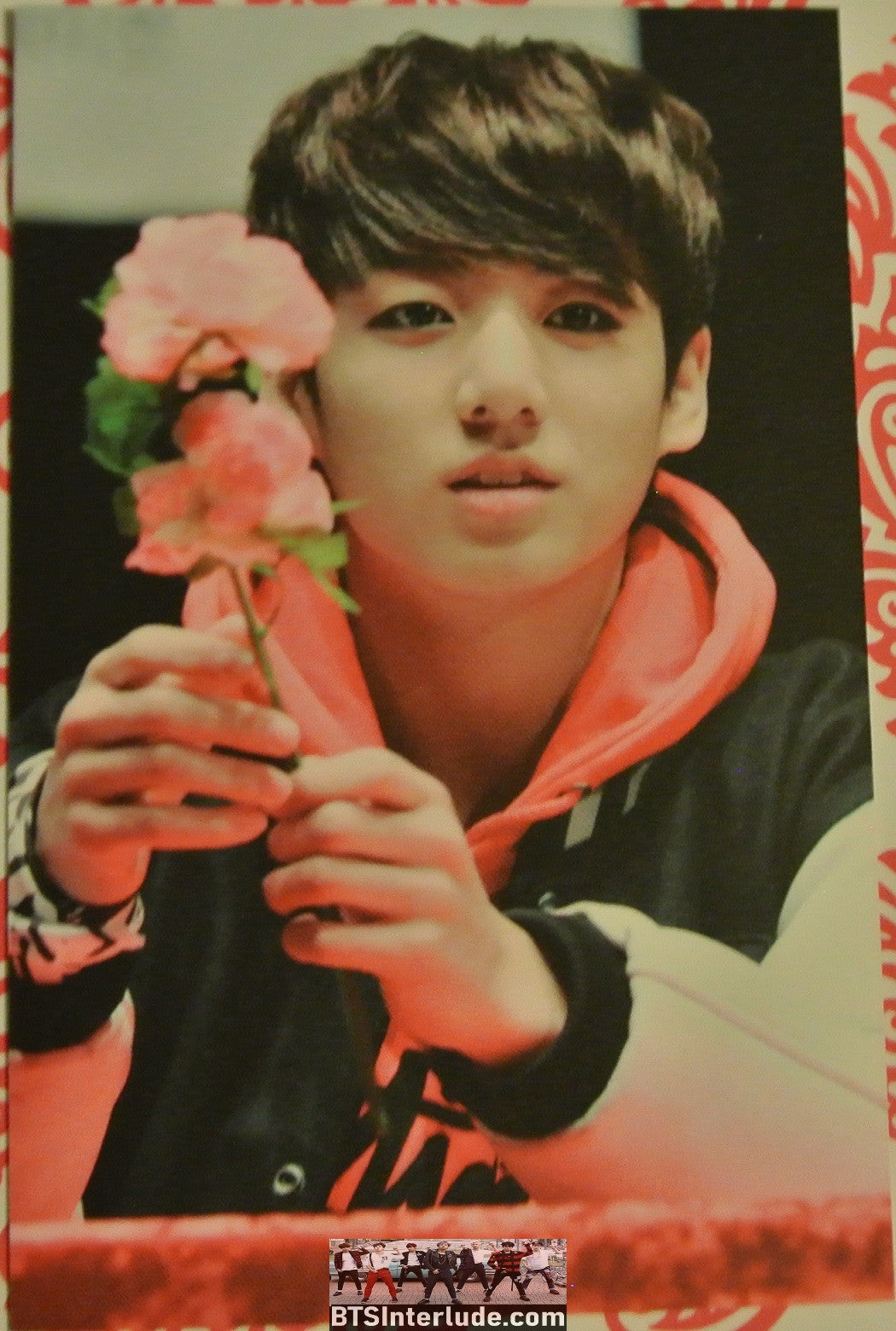 BTS PHOTOCARD FANSITE JEON JUNGKOOK 전정국 PINK FLOWERS FANSIGN HI SPRING SITE PHOTO CARD PC