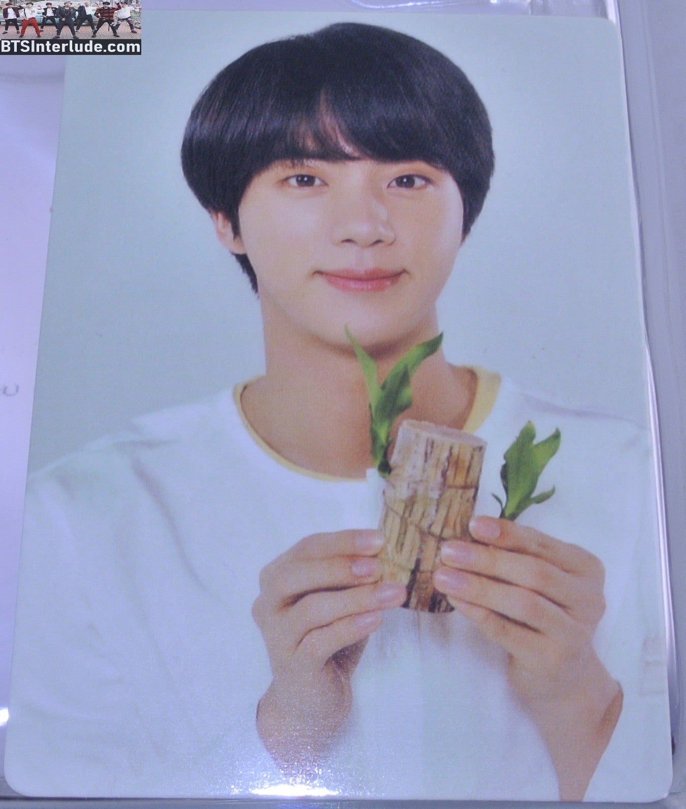 BTS PHOTOCARD OFFICIAL JIN KIM SEOKJIN 김석진 LOVE YOURSELF WORLD TOUR #5 PHOTO CARD PC OFFICIAL MERCHANDISE