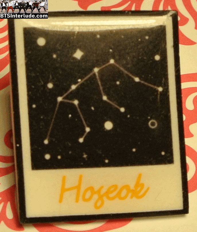 BTS PIN ACRYLIC J-HOPE JUNG HOSEOK HOBI 정호석 STAR ASTROLOGICAL SIGN BADGE BUTTON