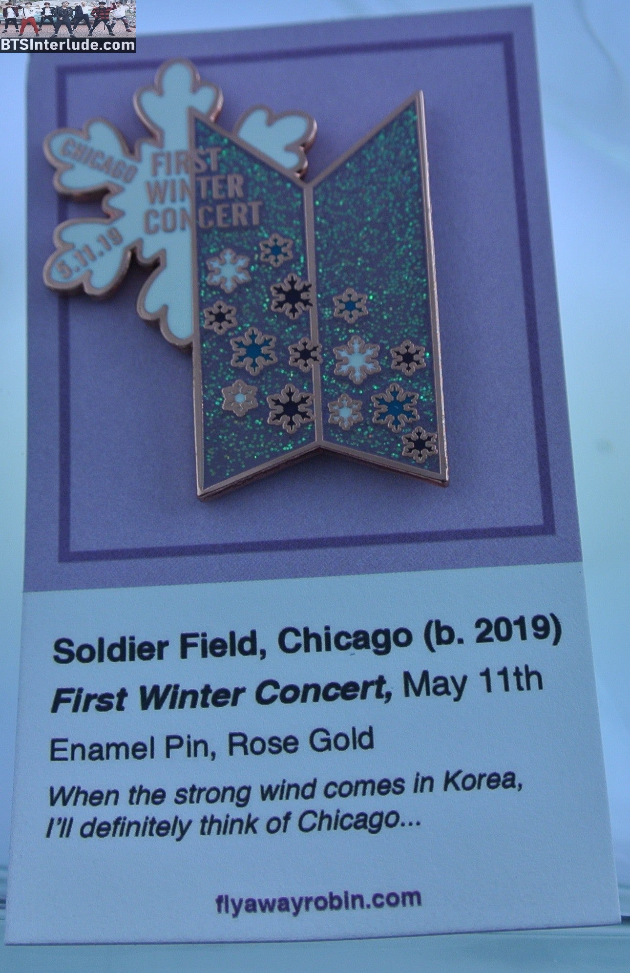 BTS PIN ENAMEL ROSE GOLD COPPER GROUP DOORS CHICAGO 2019 LOVE YOURSELF TOUR FLY AWAY ROBIN PINS JUNGKOOK V JIMIN RM J-HOPE SUGA JIN BADGE BUTTON