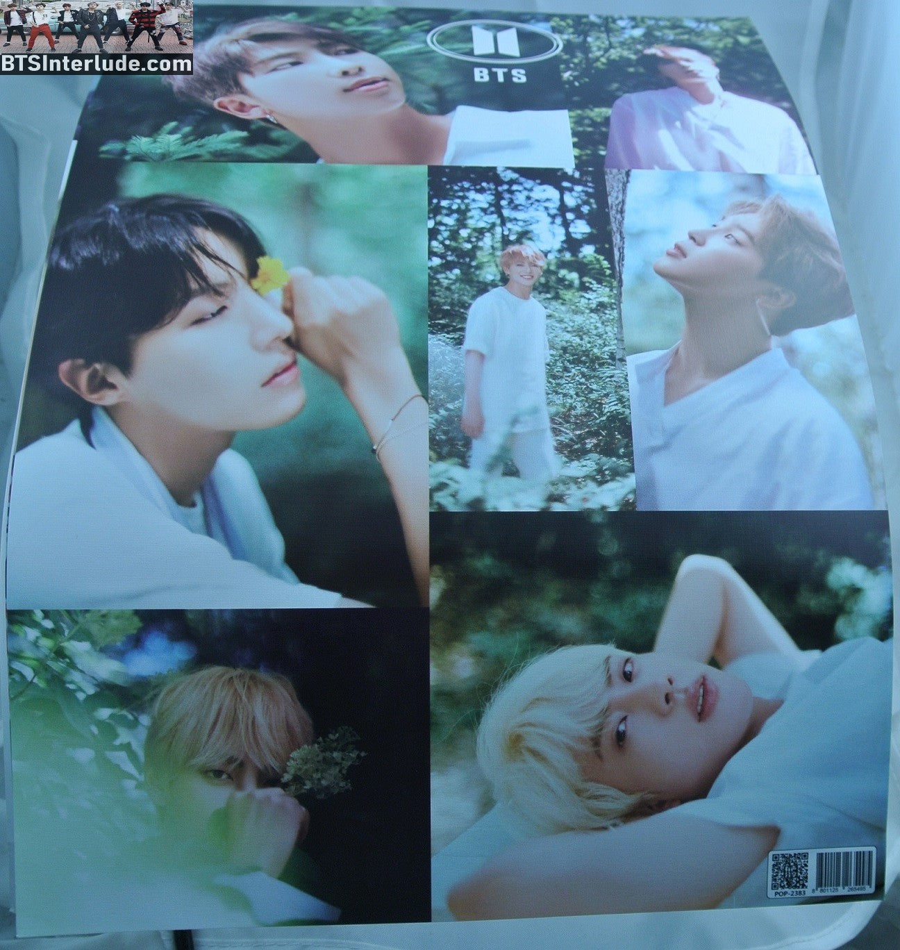 BTS POSTER MINI FANSITE GROUP FOREST OUT IN NATURE JUNGKOOK V JIMIN RM J-HOPE SUGA JIN