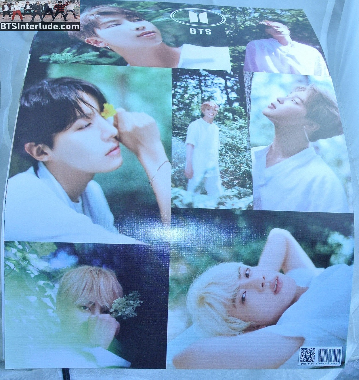 BTS POSTER MINI FANSITE GROUP FOREST OUT IN NATURE JUNGKOOK V JIMIN RM J-HOPE SUGA JIN