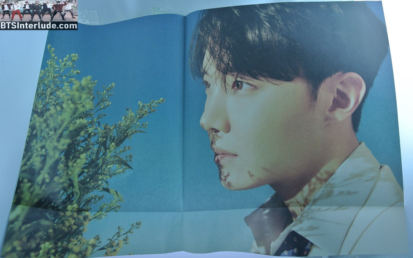 BTS POSTER FOLDED OFFICIAL J-HOPE JUNG HOSEOK 정호석 PROFILE FLOWERS KOREA HYBE INSIGHT LIMITED EDITION OFFICIAL MERCHANDISE