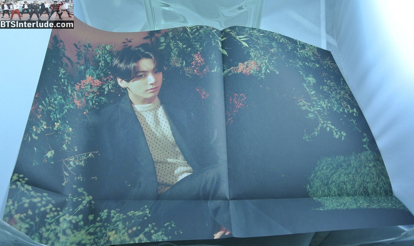 BTS POSTER FOLDED OFFICIAL JEON JUNGKOOK 전정국 FLOWERS COLOR 20.25" X 14.5" HYBE INSIGHT LIMITED EDITION OFFICIAL MERCHANDISE
