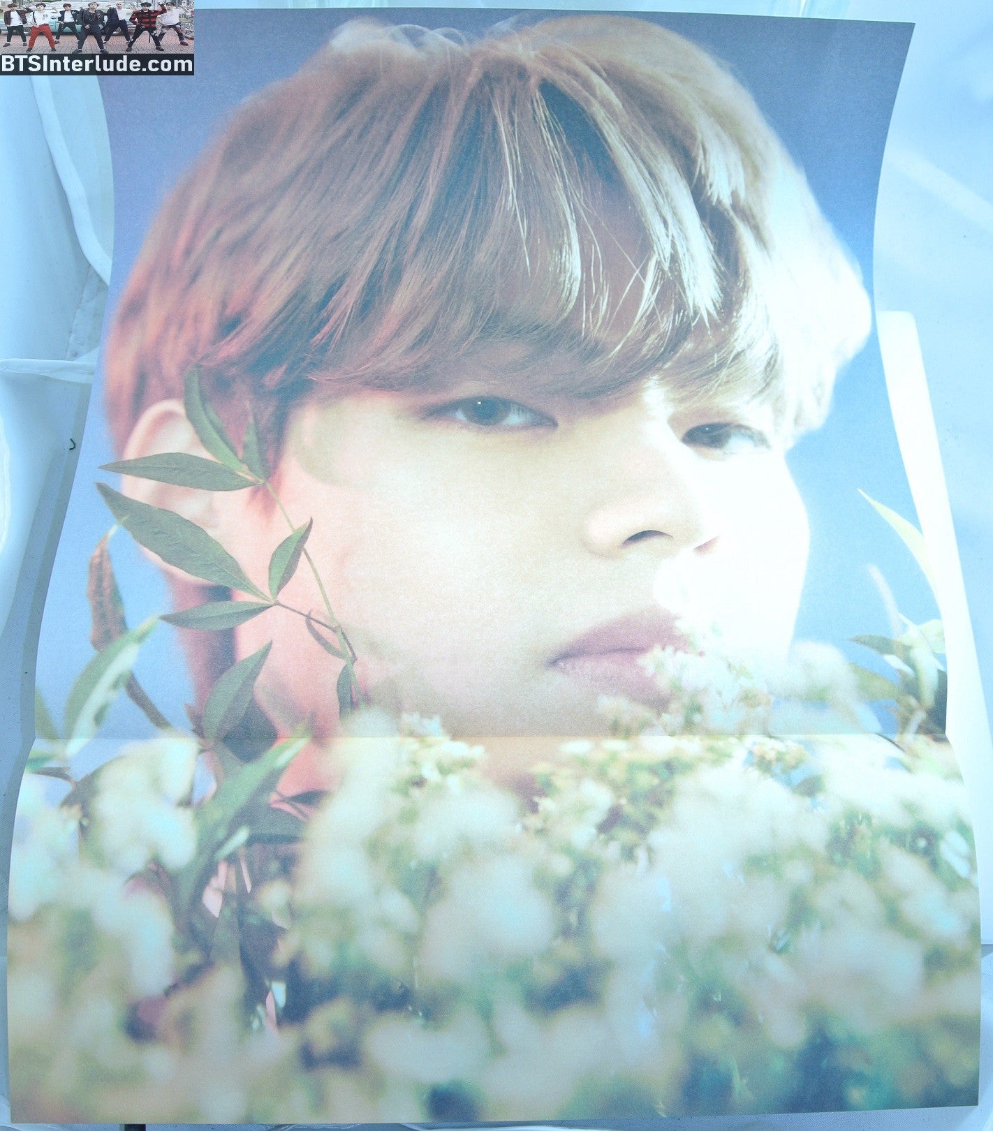 BTS POSTER FOLDED OFFICIAL V KIM TAEHYUNG 김태형 CLOSE COLOR 11.75" X 16.5" HYBE INSIGHT LIMITED EDITION