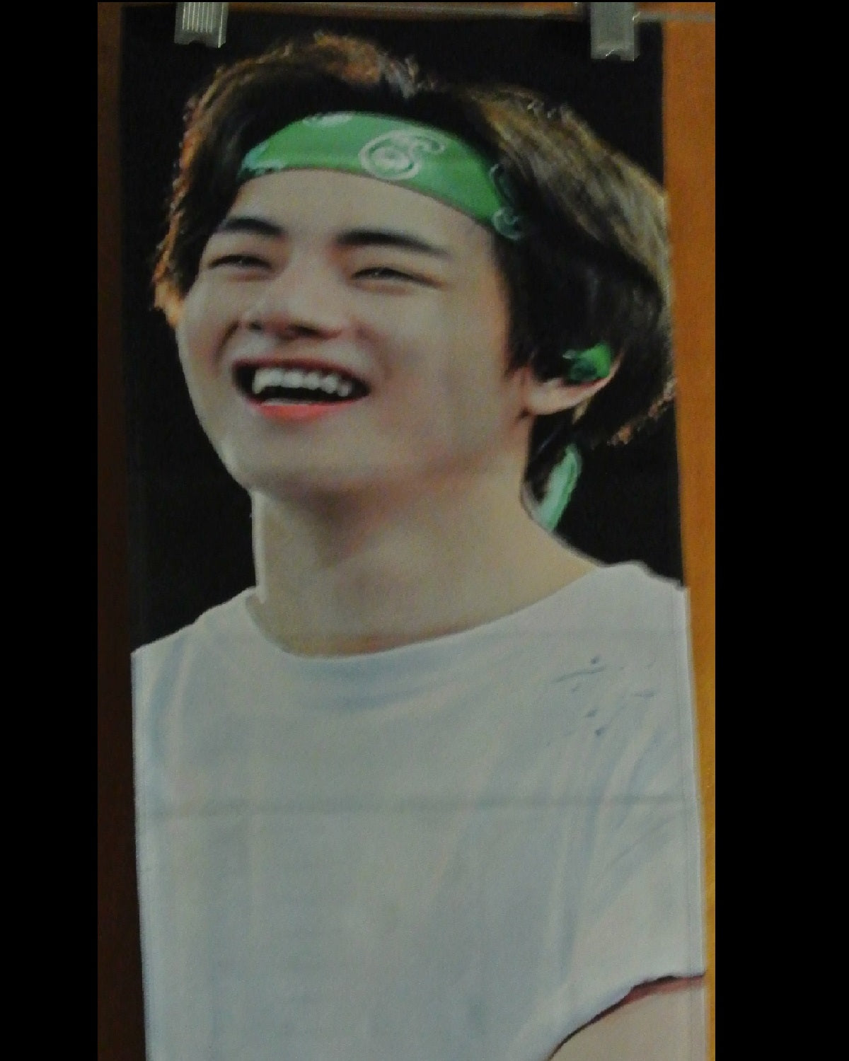BTS SLOGAN FABRIC V KIM TAEHYUNG 김태형 GREEN BANDANA DEAR MY V FANSITE SLOGAN BANNER LIMITED EDITION