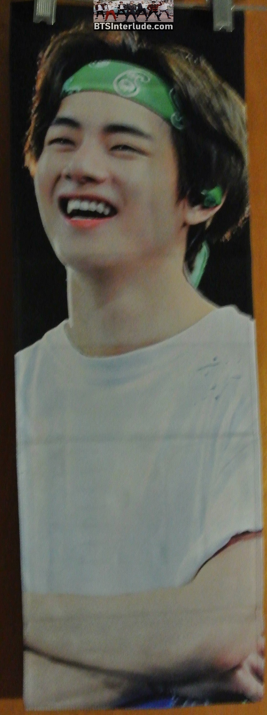BTS SLOGAN FABRIC V KIM TAEHYUNG 김태형 GREEN BANDANA DEAR MY V FANSITE SLOGAN BANNER LIMITED EDITION