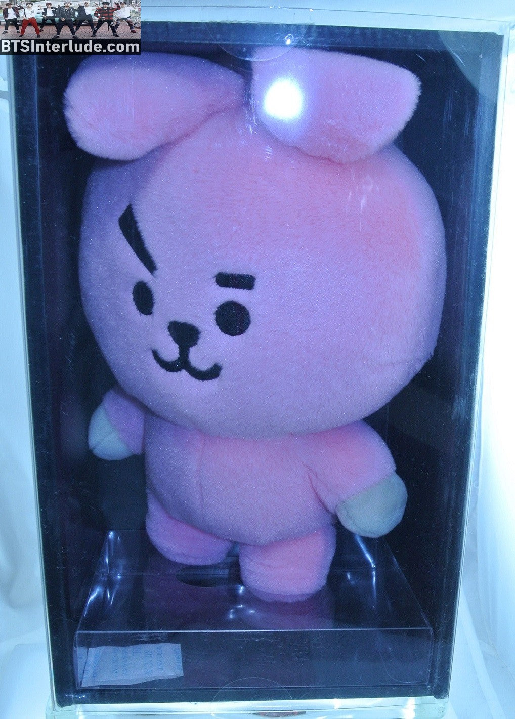 BTS STUFFIE PLUSH DOLL OFFICIAL BT21 COOKY JEON JUNGKOOK 전정국 NEW IN BOX LINE FRIENDS OFFICIAL MERCHANDISE