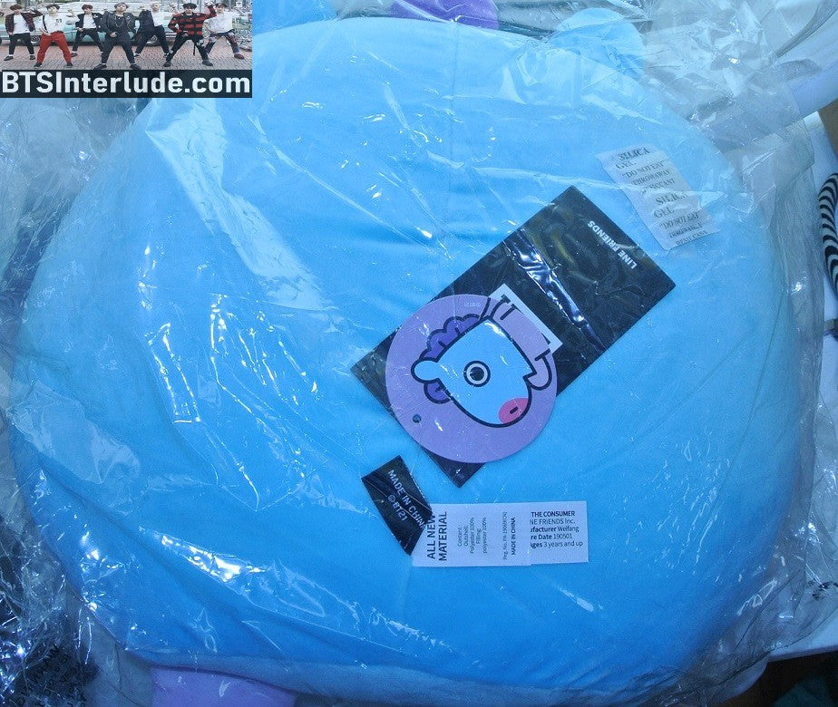 BTS PILLOW STUFFIE PLUSH DOLL OFFICIAL BT21 MANG J-HOPE JUNG HOSEOK 정호석 CUSHION THROW NEW IN PACKAGE LINE FRIENDS OFFICIAL MERCHANDISE