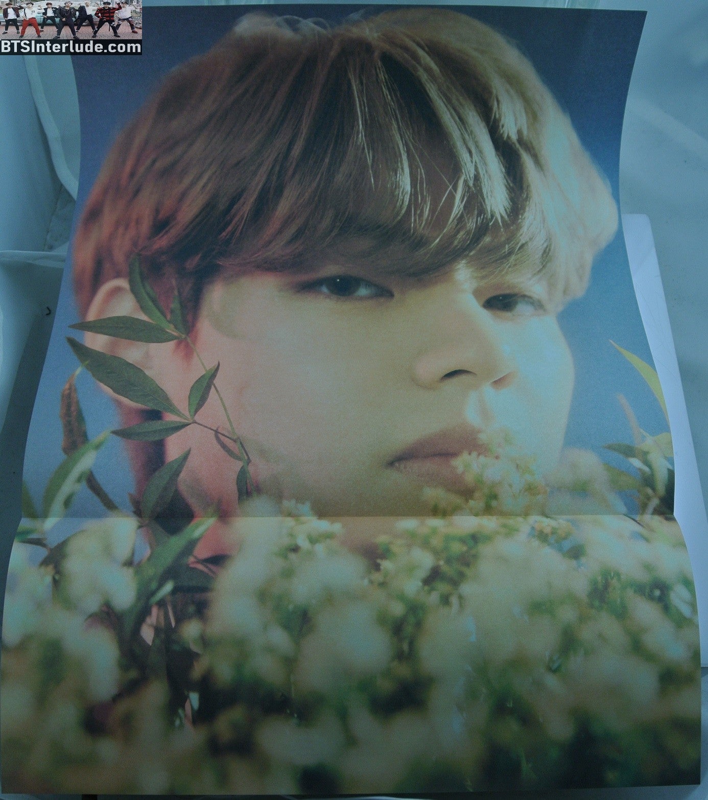 BTS POSTER FOLDED OFFICIAL V KIM TAEHYUNG 김태형 CLOSE COLOR 11.75" X 16.5" HYBE INSIGHT LIMITED EDITION