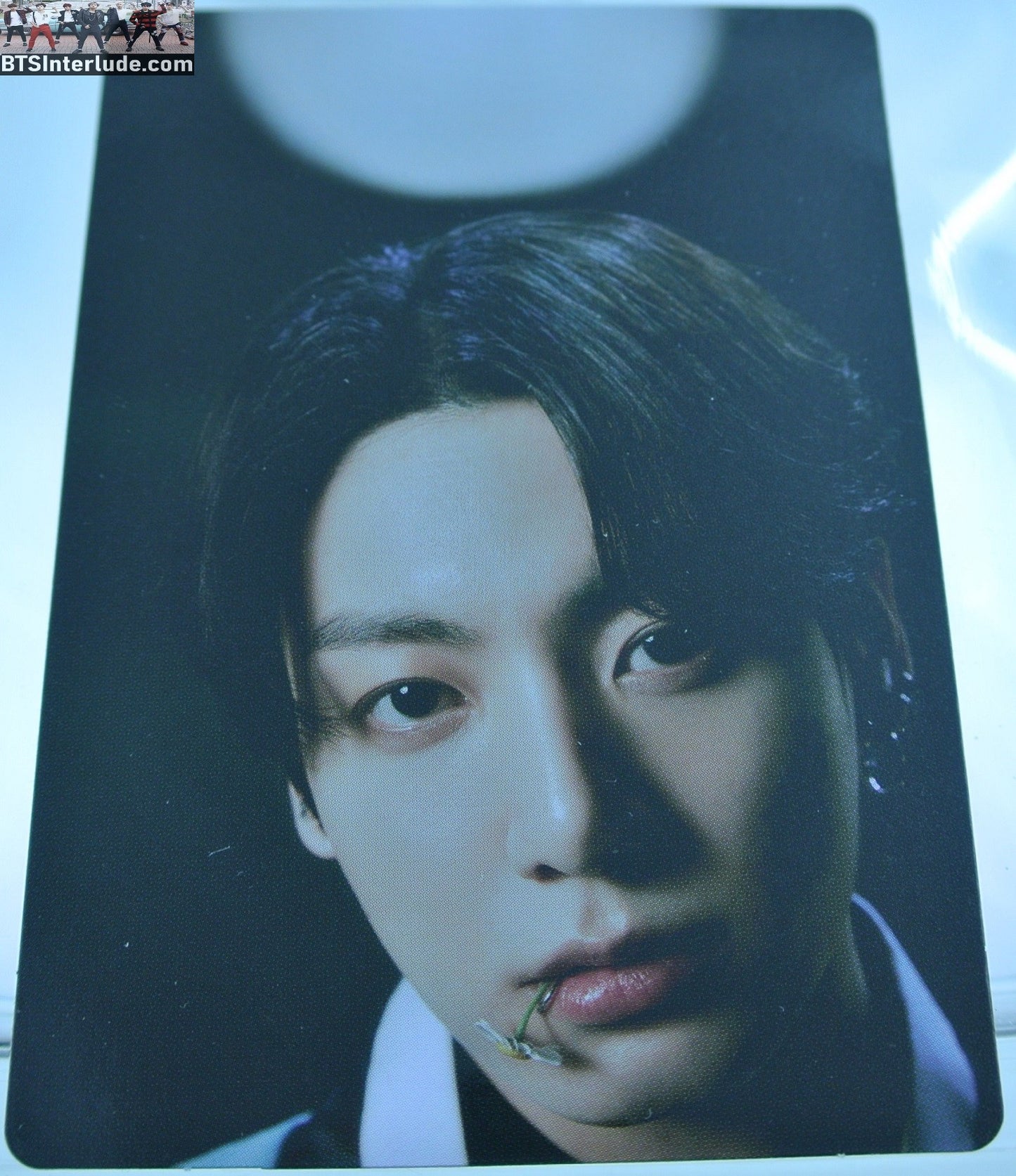 BTS PHOTOCARD OFFICIAL DALMAJUNG 2022 JEON JUNGKOOK 전정국 #6 OF 6 PC PHOTO CARD OFFICIAL MERCHANDISE