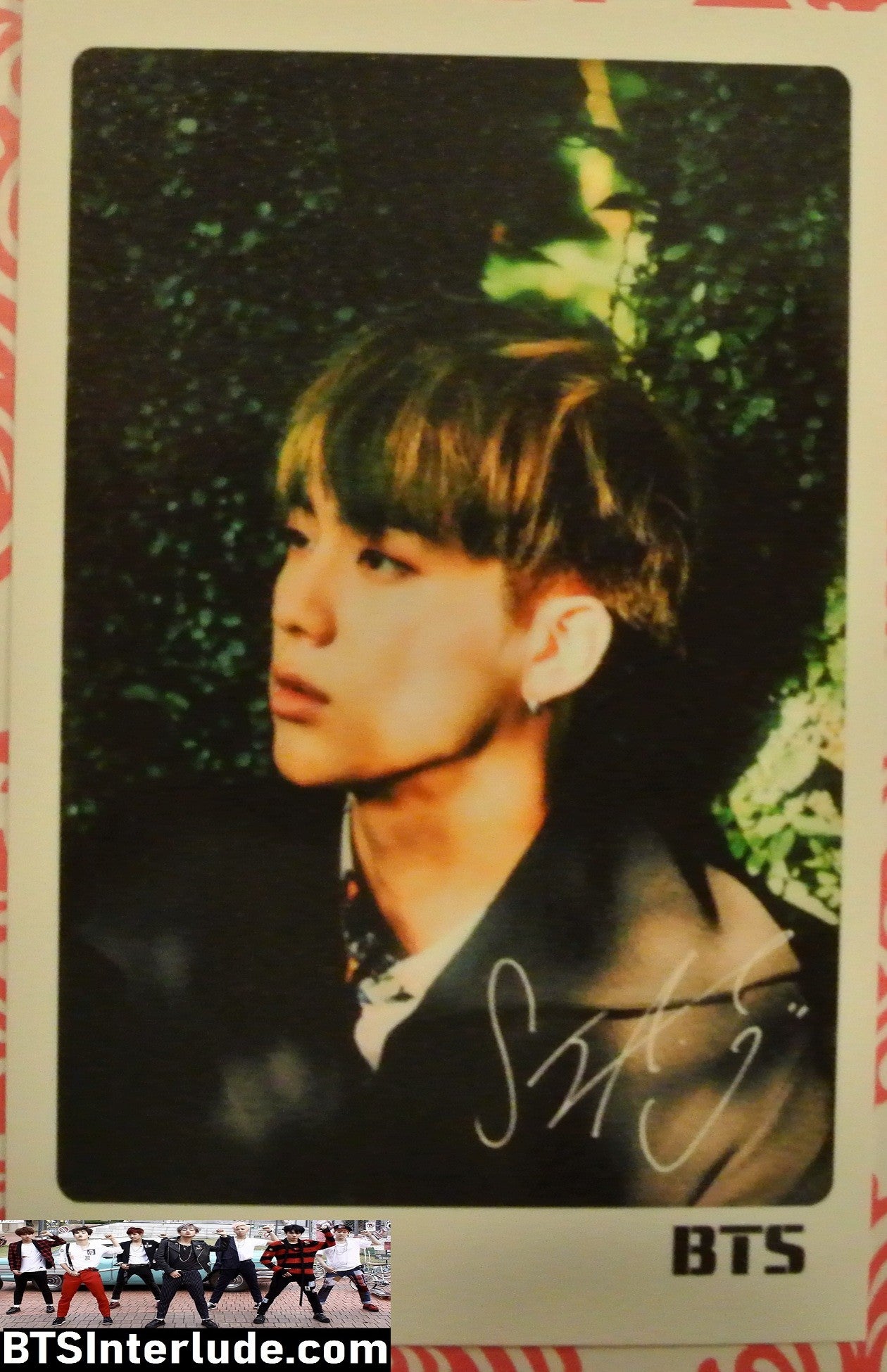 BTS PHOTOCARD FANSITE JIN KIM SEOKJIN 김석진 FOREST YOU NEVER WALK ALONE PHOTO CARD PC