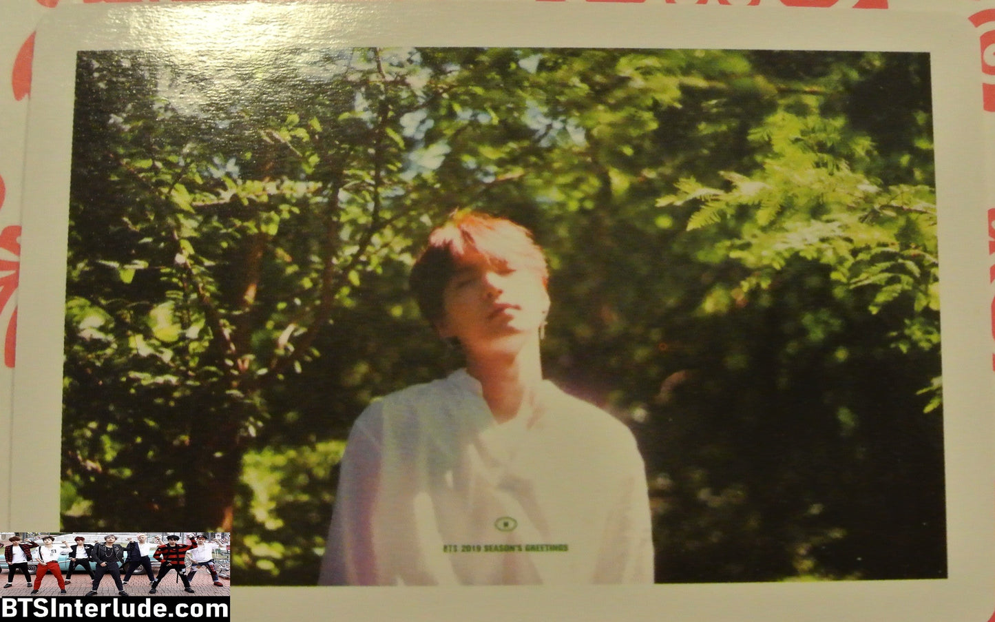 BTS PHOTOCARD FANSITE JEON JUNGKOOK 전정국 2019 SEASONS GREETINGS WHITE SHIRT PHOTO CARD PC