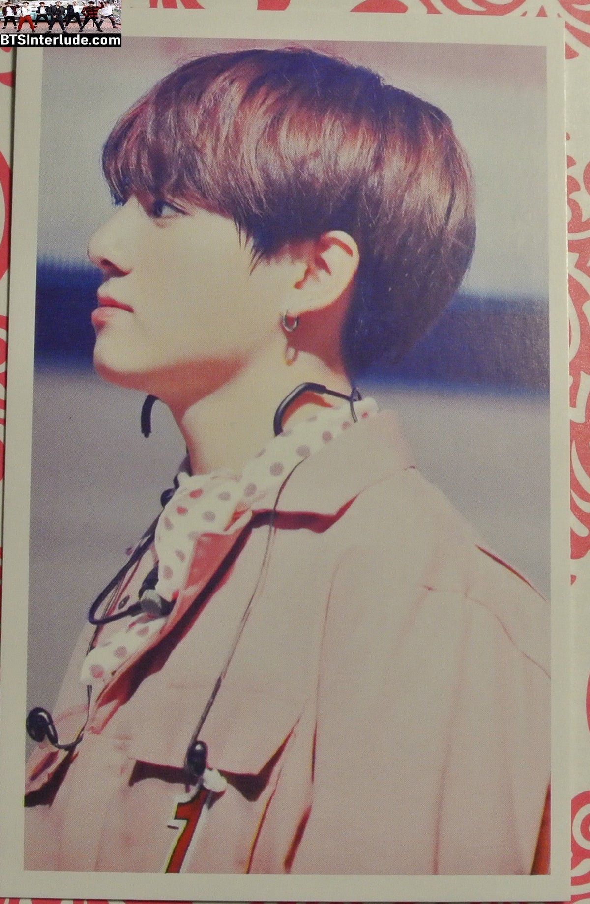 BTS PHOTOCARD FANSITE JEON JUNGKOOK 전정국 PINK JACKET PROFILE PC PHOTO CARD