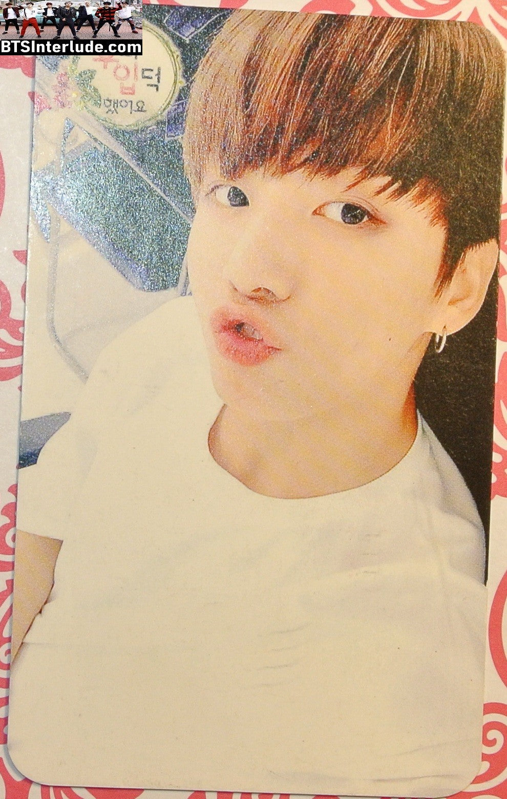 BTS PHOTOCARD FANSITE JEON JUNGKOOK 전정국 WHITE SHIRT PUCKER PC PHOTO CARD