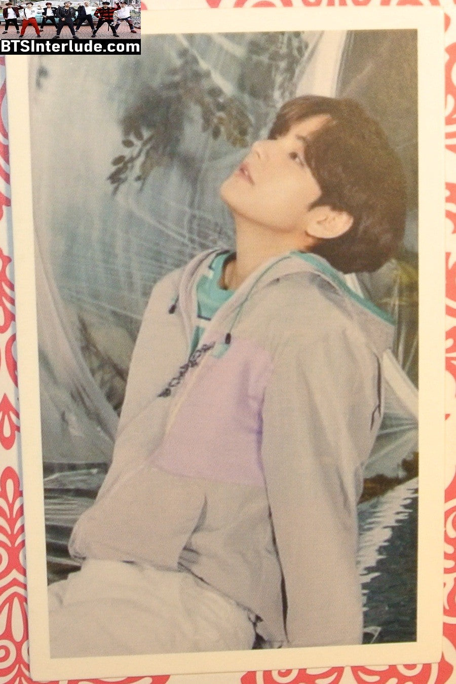 BTS PHOTOCARD FANSITE V KIM TAEHYUNG 김태형 TAN PURPLE JACKET PROFILE PC PHOTO CARD
