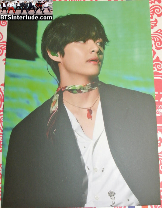 BTS PHOTO FANSITE V KIM TAEHYUNG 김태형 2019 LOTTE CONCERT WINTER STRAWVERRY FANSITE