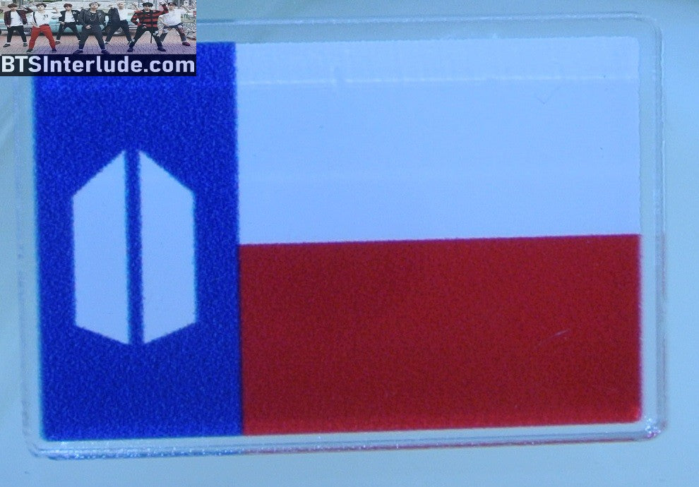 BTS PIN ACRYLIC ARMY DOORS FLAG BLUE WHITE RED JUNGKOOK V JIMIN RM J-HOPE SUGA JIN BADGE BUTTON