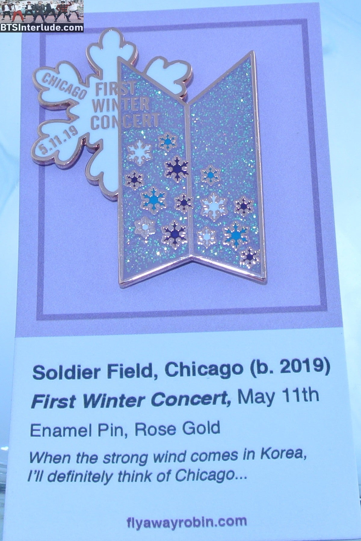 BTS PIN ENAMEL ROSE GOLD COPPER GROUP DOORS CHICAGO 2019 LOVE YOURSELF TOUR FLY AWAY ROBIN PINS JUNGKOOK V JIMIN RM J-HOPE SUGA JIN BADGE BUTTON