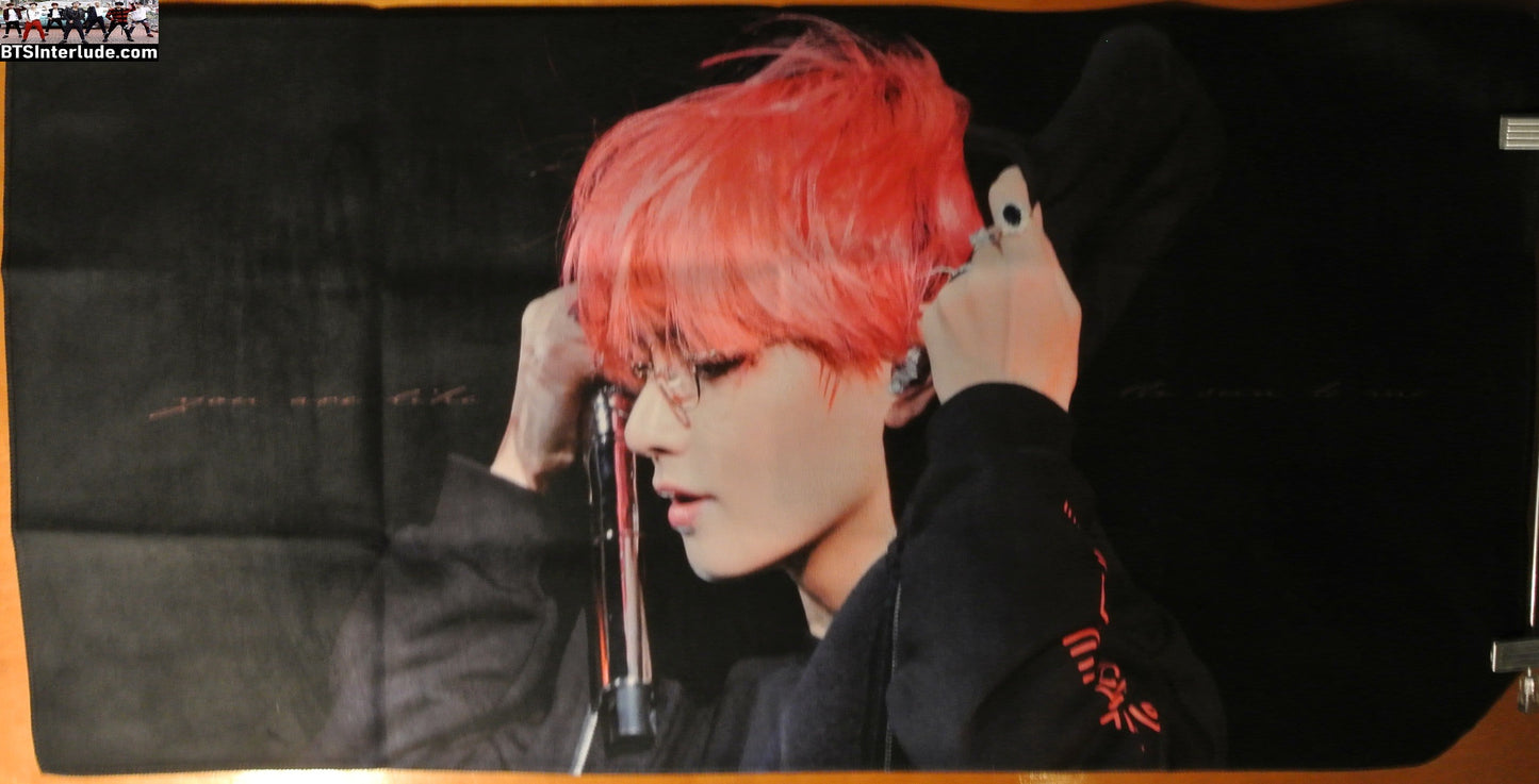 BTS SLOGAN FABRIC XXL V KIM TAEHYUNG 김태형 PINK HAIR GLASSES HOODIE V MIC FANSITE BANNER 2 SIDED LIMITED EDITION